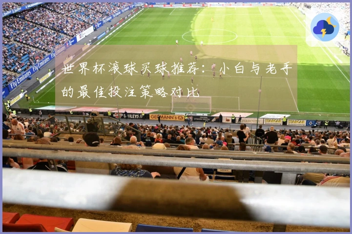 世界杯滚球买球推荐：小白与老手的最佳投注策略对比