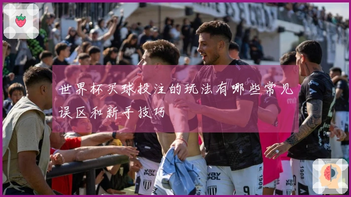 世界杯买球投注的玩法有哪些常见误区和新手技巧