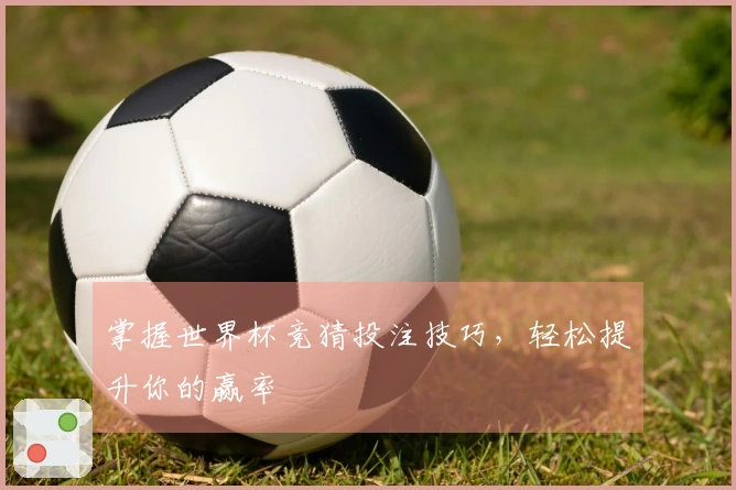 掌握世界杯竞猜投注技巧，轻松提升你的赢率