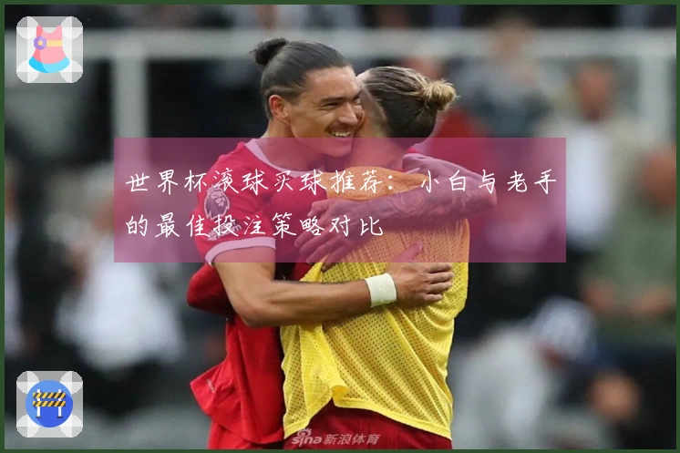 世界杯滚球买球推荐：小白与老手的最佳投注策略对比