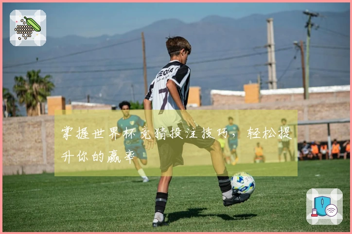 掌握世界杯竞猜投注技巧，轻松提升你的赢率